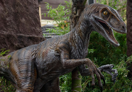 Pet Raptorの写真素材