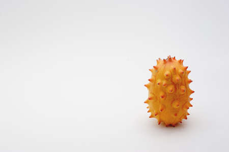 Kiwiano on white background with space for copyの写真素材
