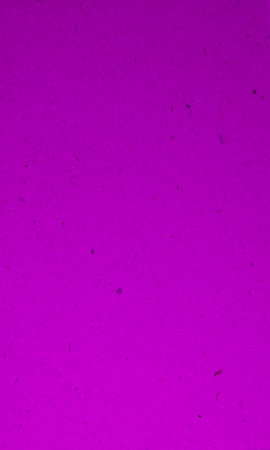 red warm background texture backdrop wallpaper for designの写真素材