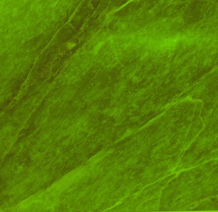 light green texture background backdrop for graphic design and web designの写真素材
