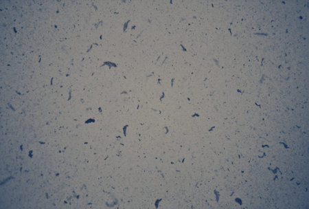 gray background texture backdrop for graphic design