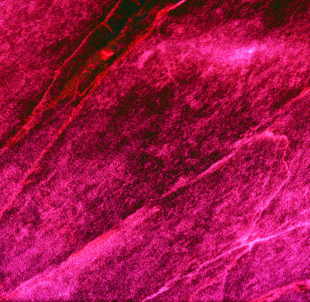 pink magenta background texture for graphic designの写真素材