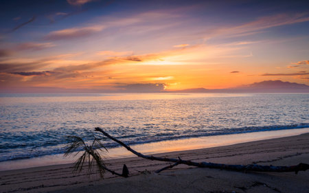 Dusk at the beachの写真素材