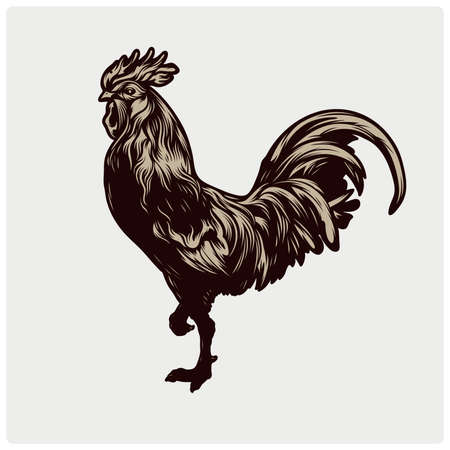 Vector Chicken Illustrationのイラスト素材