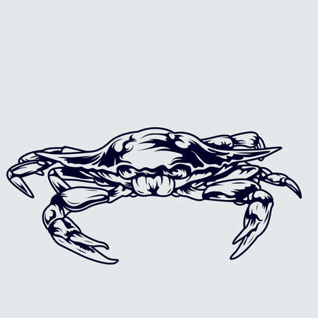 Crab icon. Vector illustration.のイラスト素材
