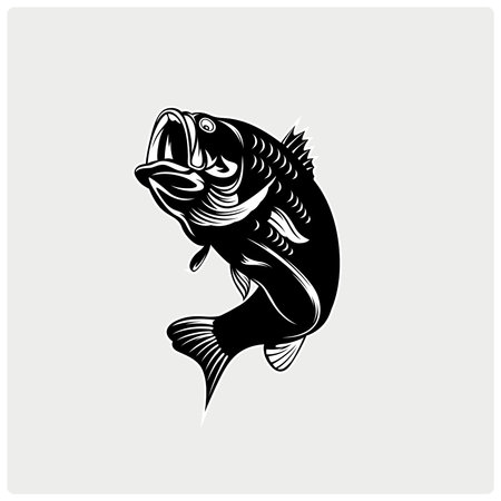 Fish vector illustrationのイラスト素材