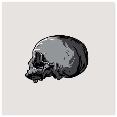 The image of the skull. Vector illustration.のイラスト素材