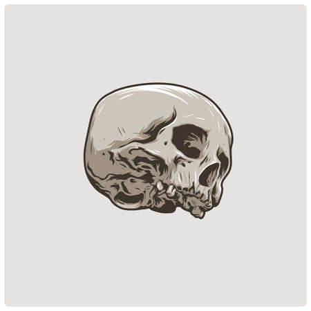The image of the skull. Vector illustration.のイラスト素材