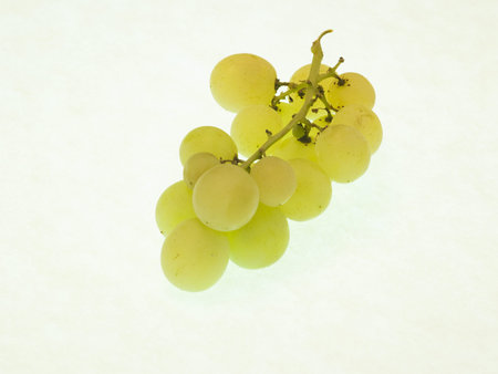 Grape