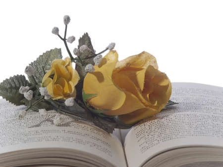 Roses upon a book on white backgroundの写真素材