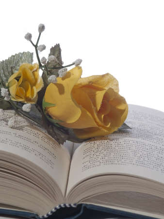 Roses upon a book on white backgroundの写真素材