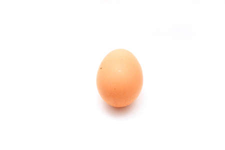 An egg on a white backgroundの写真素材