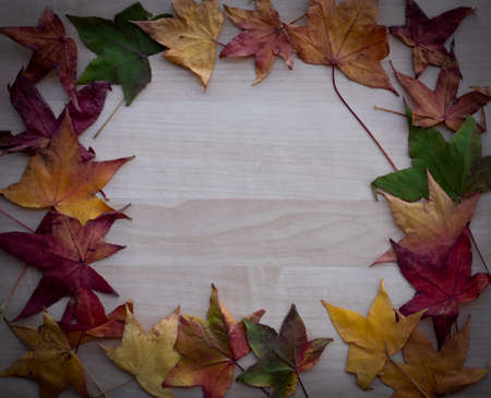 a wooden texture with autumn colored leavesの写真素材