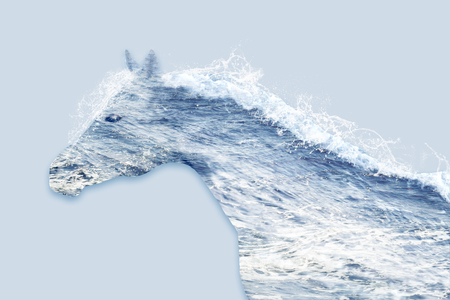 The Sea Inside horses in art, multiexposition. The sea in the shape of a horse.の写真素材