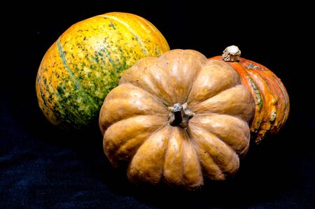 3 ripe bright assorted pumpkins on a black backgroundの写真素材