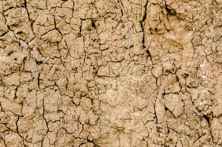 clay surface texture