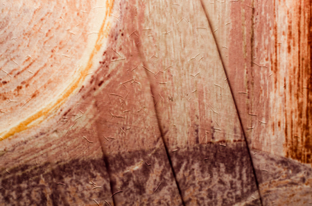 texture colored abstract background closeupの写真素材
