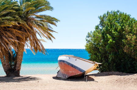 old yacht on the sand on the shore among the palm trees and trees against the backdrop of the Red Seaの写真素材