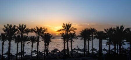 landscape dawn palm trees and a beach with umbrellas in Egypt in Sharm El Sheikhの写真素材