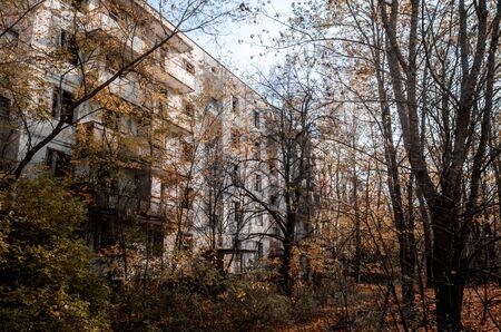 abandoned house among trees in the infected city of Chernobylの写真素材
