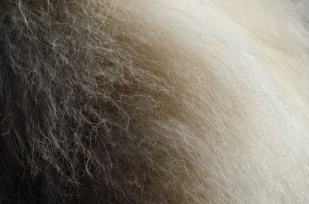 dog fur detail background pattern