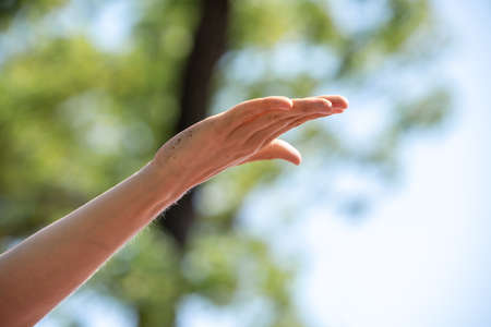 hands of people doing yoga on the beach close upの写真素材