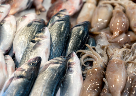 fresh fish at the fish market close upの写真素材