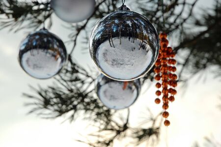  some New Year spheres on a pine branchesの写真素材