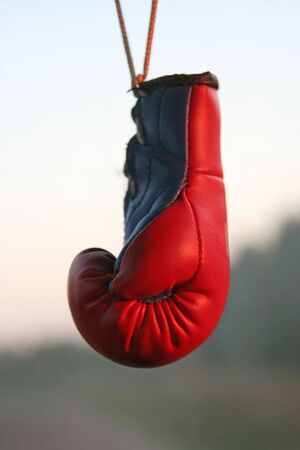 a red small boxing-glove and a trinketの写真素材