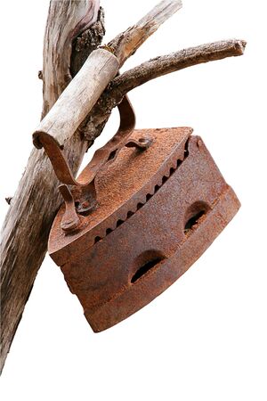 a very old rusty iron on a branchの写真素材
