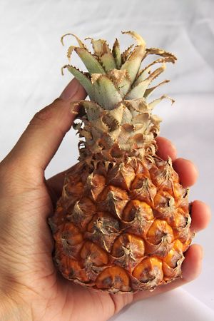 a ripe ananas in a man's handの写真素材