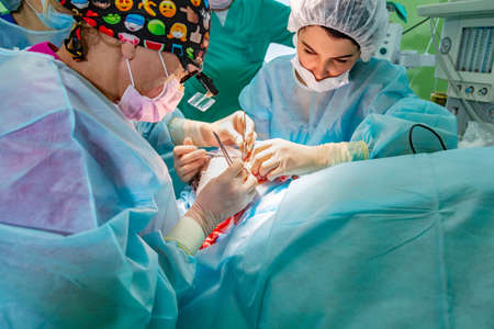 Plastic surgery in operating roomの写真素材