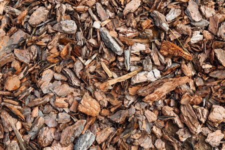 Wood chips or sawdust texture background, background pattern