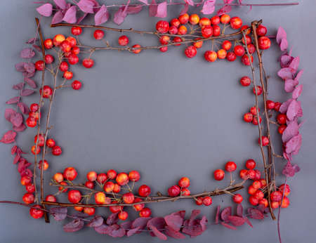 Fall flatlay with red apples and wilted autumn leaves on the gray backgroundの写真素材