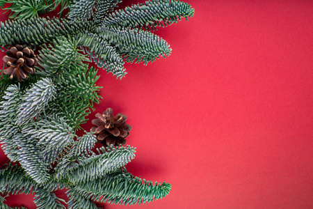 Christmas composition. Christmas red decorations, fir tree branches with bumps on red background. Flat lay, top view, copy spaceの写真素材