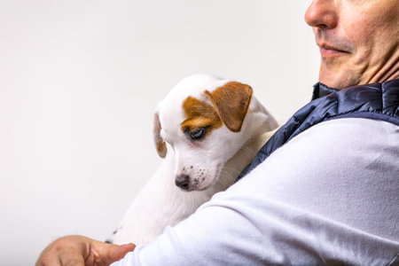Horizontal portrait of handsome cheerful man holds jack russell terrirer, has glad expression