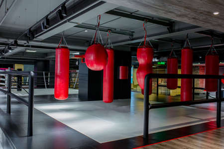 Red punching bags with gym background. Pears for boxingの写真素材