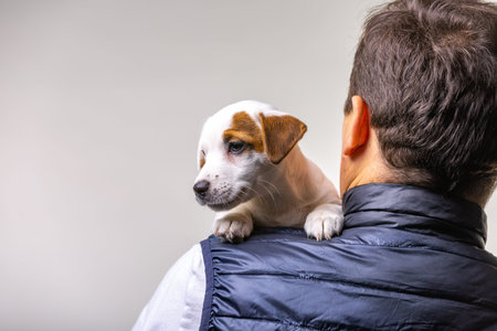 Man holding cute puppy Jack Russel in hands.