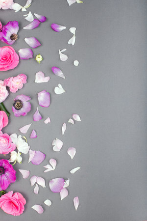 Beautiful rose and white flowers on gray backgraund. Floral border. Pastel color. Greeting card for...