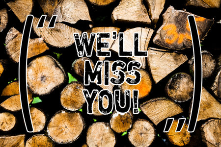 Word writing text We Ll Miss You. Business concept for Going to feel sad because you are leaving...