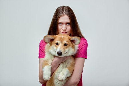 Beautiful girl with a Welsh Corgi on her hands on a gray background, copy space