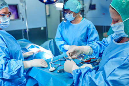 Close-up of an operating surgery team. A team of surgeons professionals with assistants in the operating room. Blue medical light. Surgery, saving lives, modern equipment.の写真素材