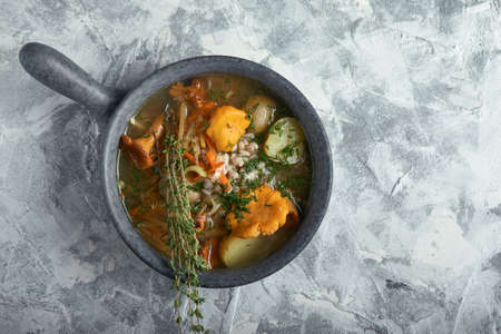 Mushroom stew in a plate shaped pan on a gray concrete background, top view. Copy space.の写真素材