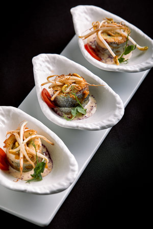 rolls of sea bass baked stuffed with vegetables and mushroom sauce, on a dark background, copy space