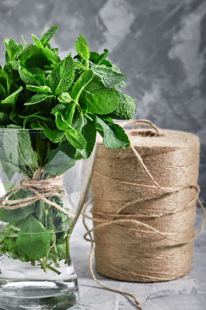 A bunch of fresh mint in a glass vase and water. Minimalism of decor, natural product, copy spaceの写真素材