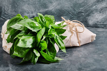 A bunch of fresh green basil, on a gray background, eco packaging. Food delivery, environmental concerns.の写真素材