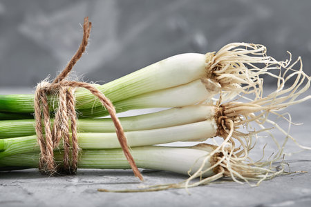 Fresh green onions close-up, Gray background, Organic products, layout for a healthy diet and organic restaurant cooking advertisementの写真素材