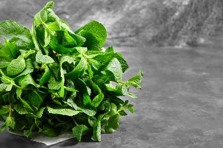 A bunch of mint, spearmint, peppermint tied with twine on a gray background. mint-flavored leaves....