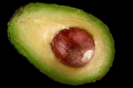 Macro shot of fresh avocados cut in a half on the black backgroundの写真素材