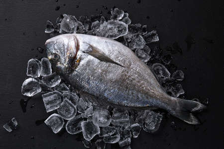 Raw fresh organic dorado or sea bream on ice cubes over black slate, stone or concrete background.の写真素材